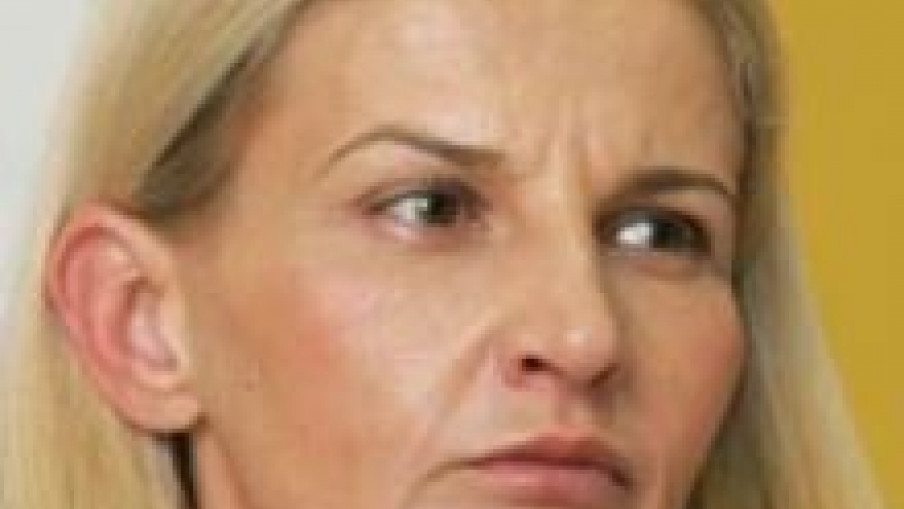 Miščević: Naredna vlada što pre da usvoji pripremljene zakone